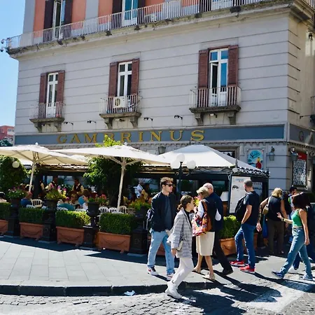 House Vico Lungo A Toledo *